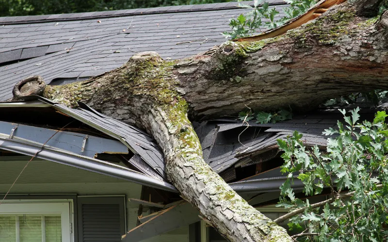 emergency roof repair services to fix tree falling on corner of the house